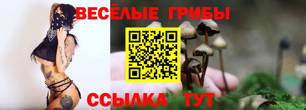 Галлюциногенные грибы мухоморы  Псилоцибиновые грибы Cubensis  Волоколамск  Вход с VPN 